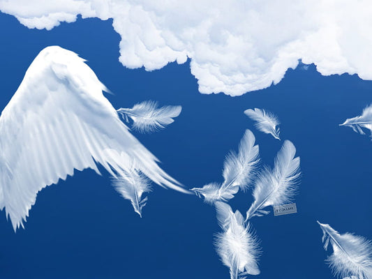 Are these really actual signs from your loved ones in heaven?